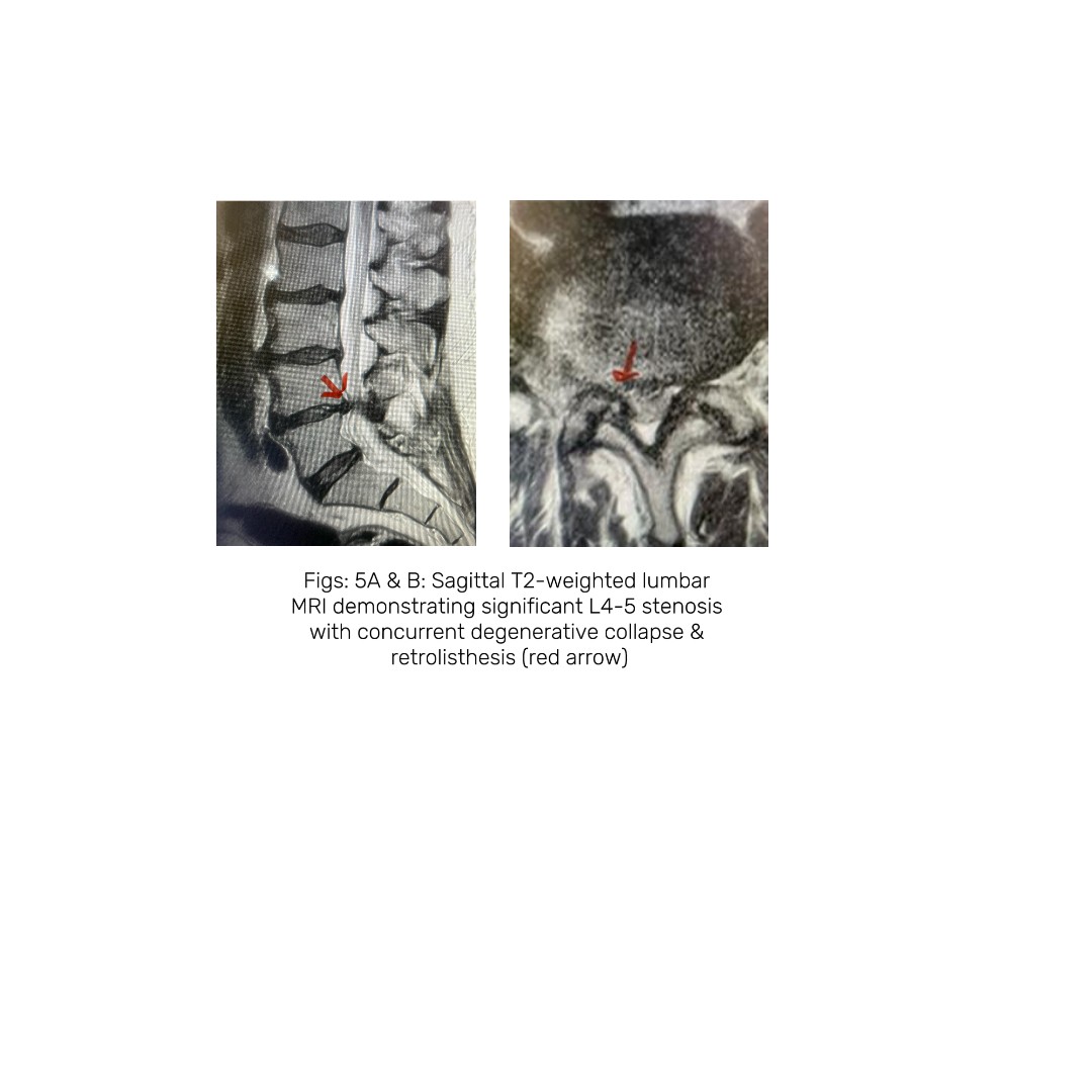 Untitled image (1)